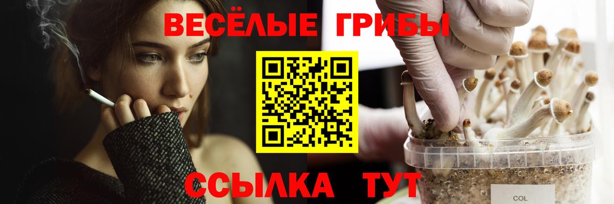 Галлюциногенные грибы ЛСД Вольск